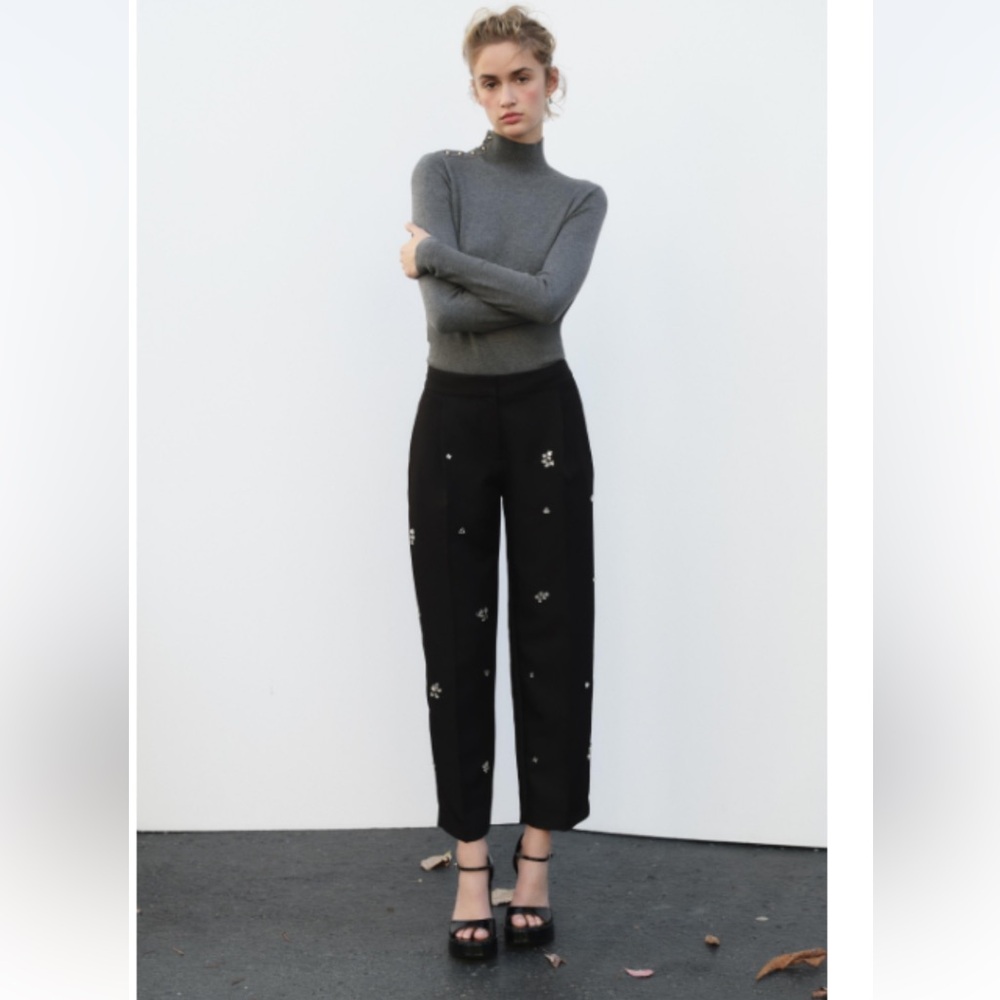 Zara Bejeweled and beaded pants